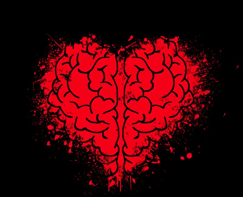heart, brain, mind